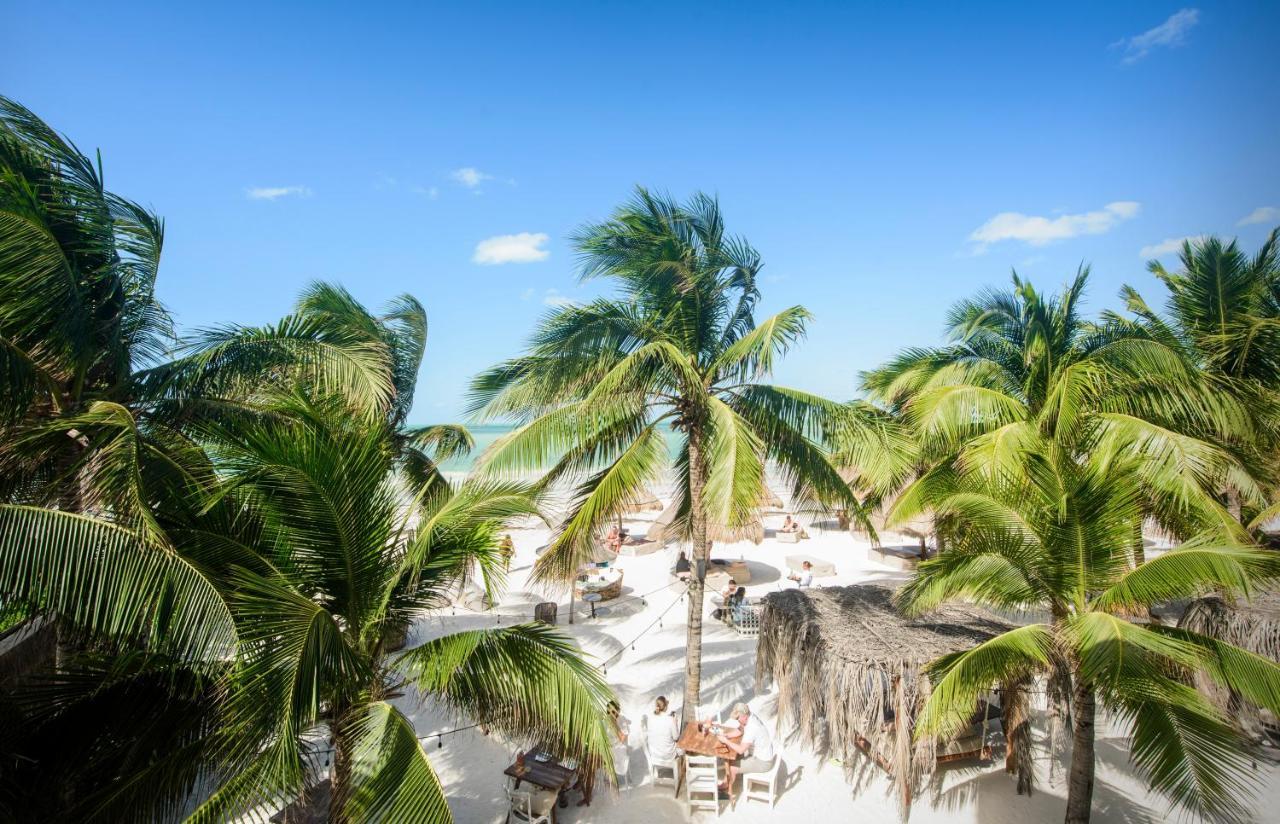 Casa Las Tortugas Petit Beach Hotel & Spa 홀박스아일랜드 외부 사진
