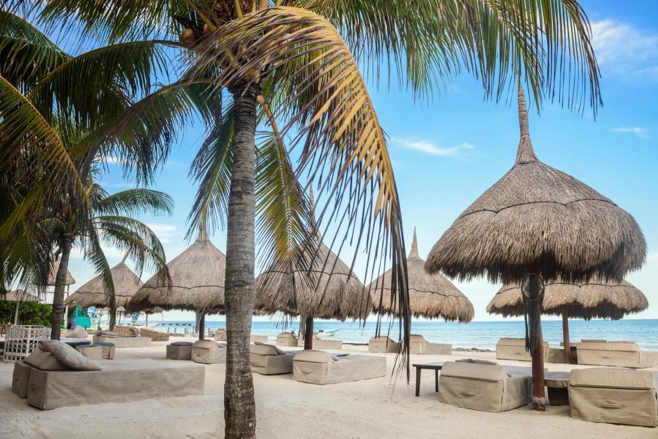 Casa Las Tortugas Petit Beach Hotel & Spa 홀박스아일랜드 외부 사진