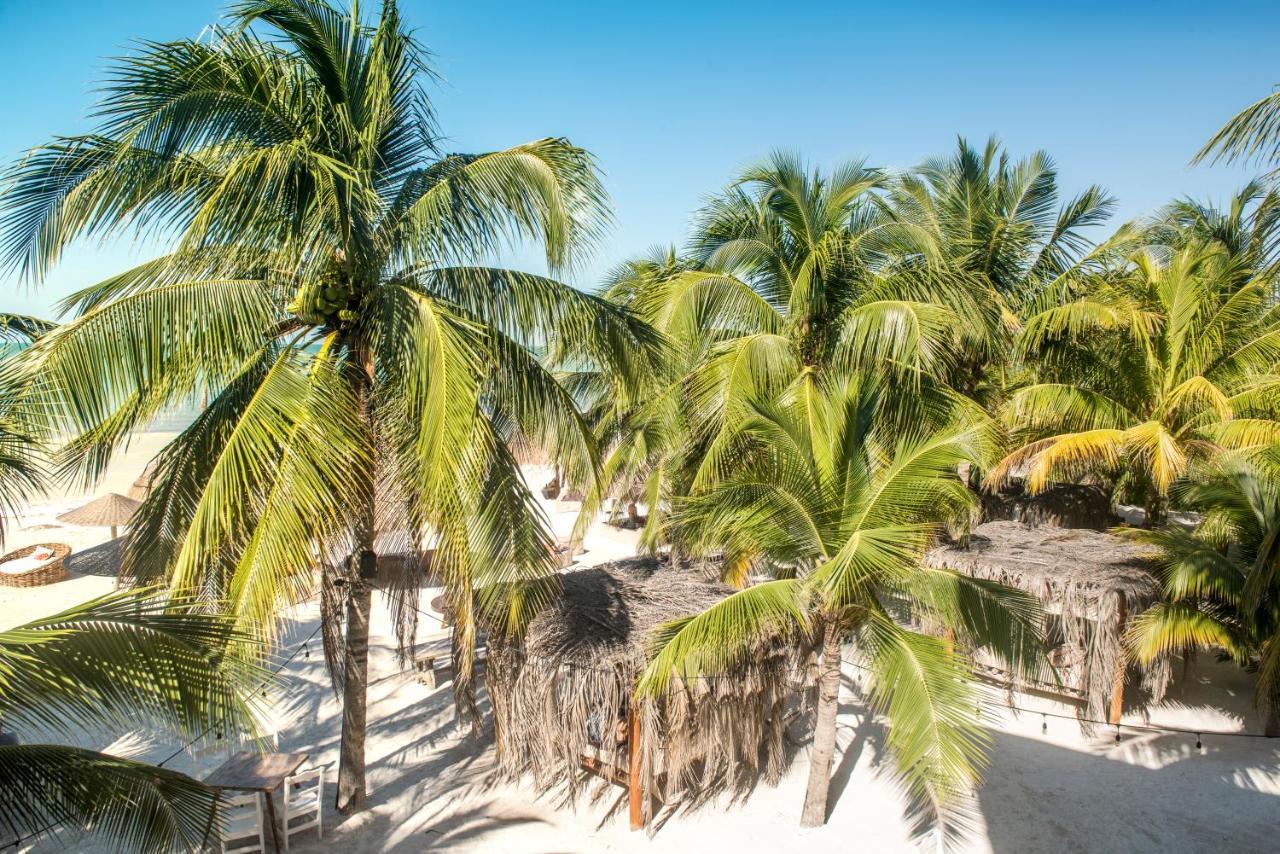 Casa Las Tortugas Petit Beach Hotel & Spa 홀박스아일랜드 외부 사진